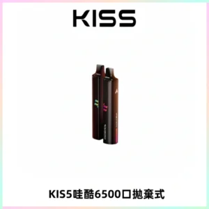 KIS5WAGOO哇酷6500口拋棄式 | 自由混搭雙口味 | 雙芯組合