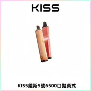 KIS5鎧斯5號一次性6500口磁吸式拋棄式電子煙#自由混搭#